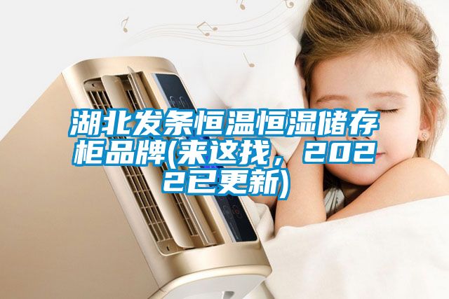 湖北發(fā)條恒溫恒濕儲存柜品牌(來這找，2022已更新)