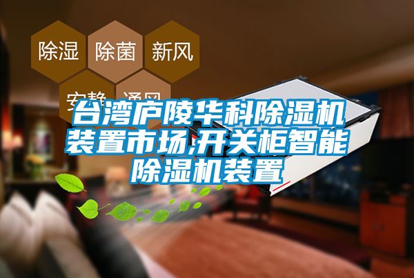 臺灣廬陵華科除濕機裝置市場,開關(guān)柜智能除濕機裝置