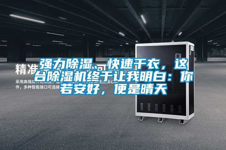 強力除濕、快速干衣，這臺除濕機終于讓我明白：你若安好，便是晴天