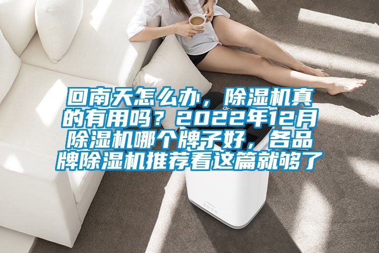 回南天怎么辦，除濕機真的有用嗎？2022年12月除濕機哪個牌子好，各品牌除濕機推薦看這篇就夠了