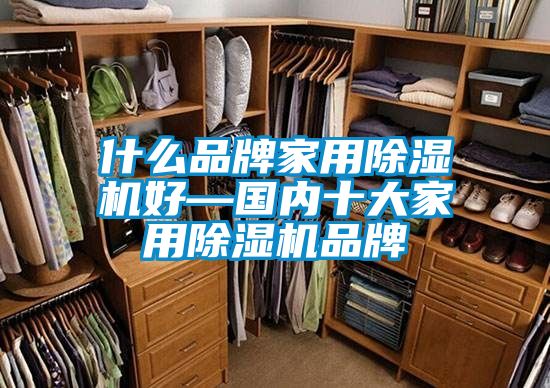 什么品牌家用除濕機(jī)好—國內(nèi)十大家用除濕機(jī)品牌