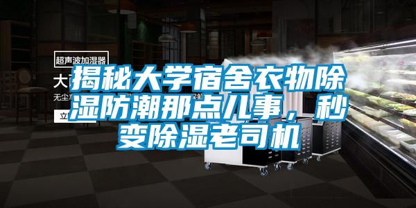 揭秘大學宿舍衣物除濕防潮那點兒事，秒變除濕老司機