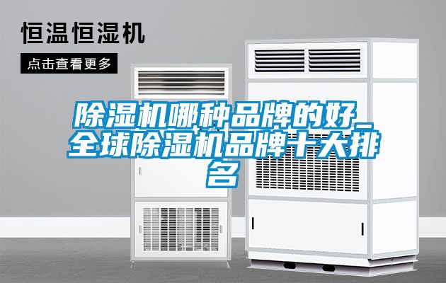 除濕機(jī)哪種品牌的好_全球除濕機(jī)品牌十大排名