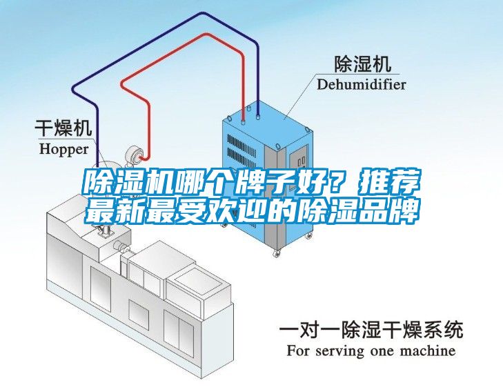 除濕機哪個牌子好？推薦最新最受歡迎的除濕品牌