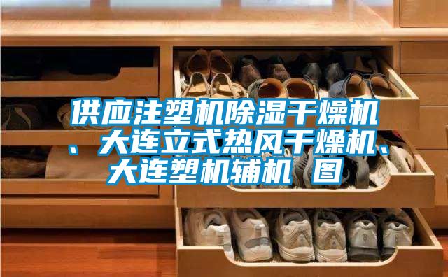 供應注塑機除濕干燥機、大連立式熱風干燥機、大連塑機輔機 圖