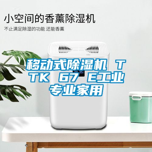 移動(dòng)式除濕機(jī) TTK 67 E工業(yè)專業(yè)家用