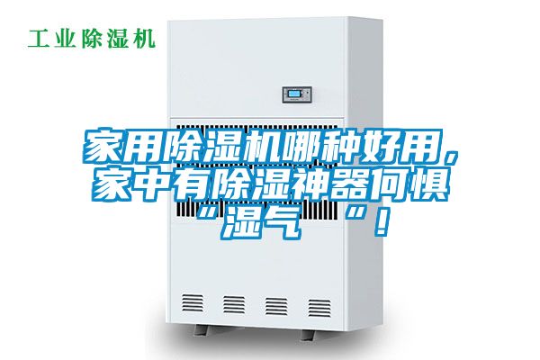 家用除濕機(jī)哪種好用，家中有除濕神器何懼 “濕氣 “！