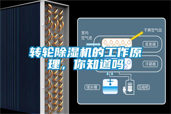 轉(zhuǎn)輪除濕機的工作原理，你知道嗎
