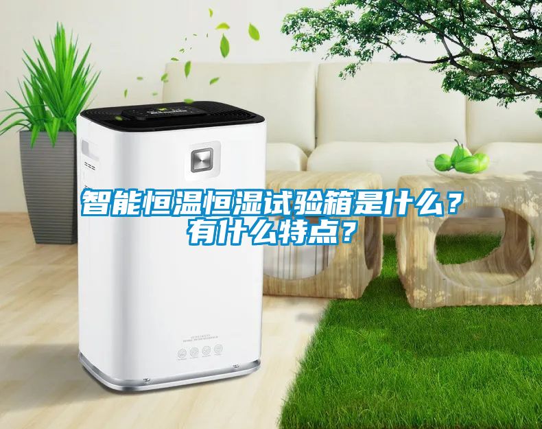 智能恒溫恒濕試驗(yàn)箱是什么？有什么特點(diǎn)？