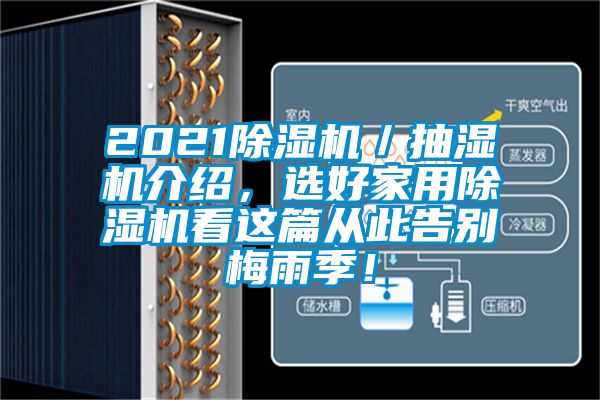 2021除濕機／抽濕機介紹，選好家用除濕機看這篇從此告別梅雨季！