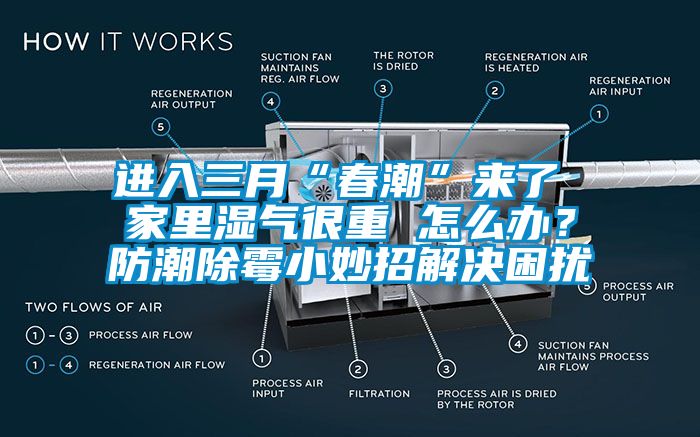 進入三月“春潮”來了 家里濕氣很重 怎么辦？防潮除霉小妙招解決困擾